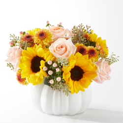 Pumpkin To Talk About from Flowers by Ramon of Lawton, OK